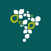 Hy Brazil client logo - Fernando Coelho UX design Web3 fintech project portfolio